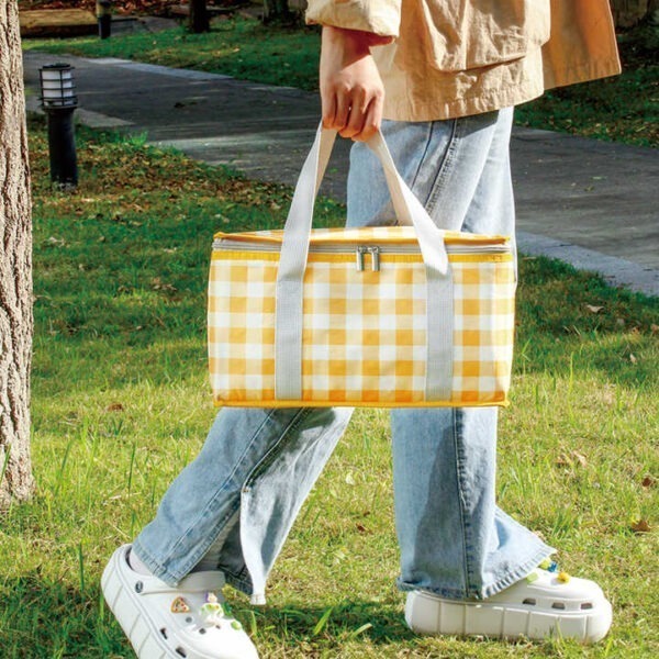 BS0434F-Travel Lunch Bag Picnic Bag - Image 4