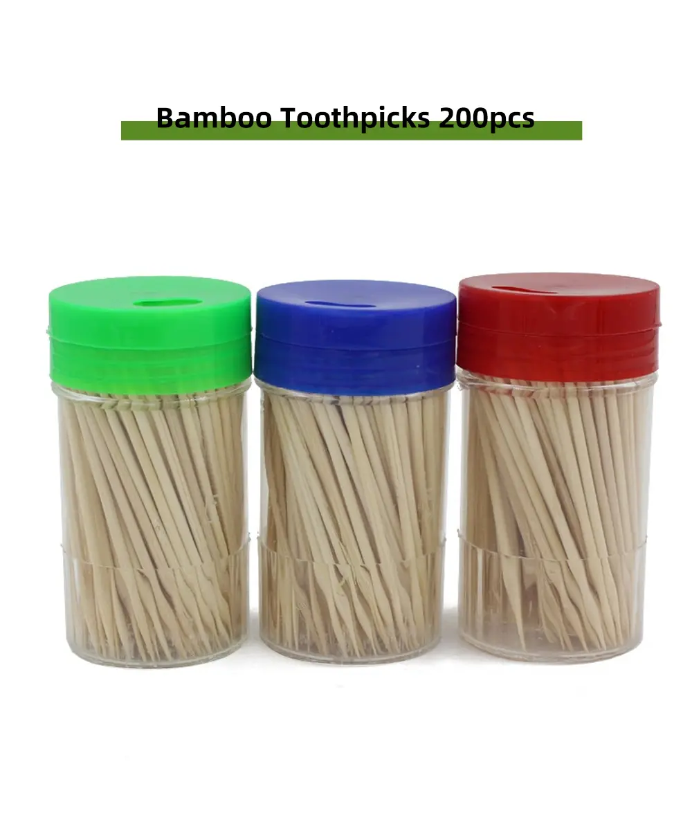 Bamboo Toothpicks 600pcs (1)