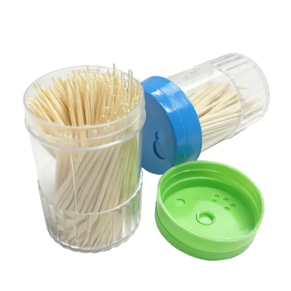 Bamboo Toothpicks 600pcs (2)