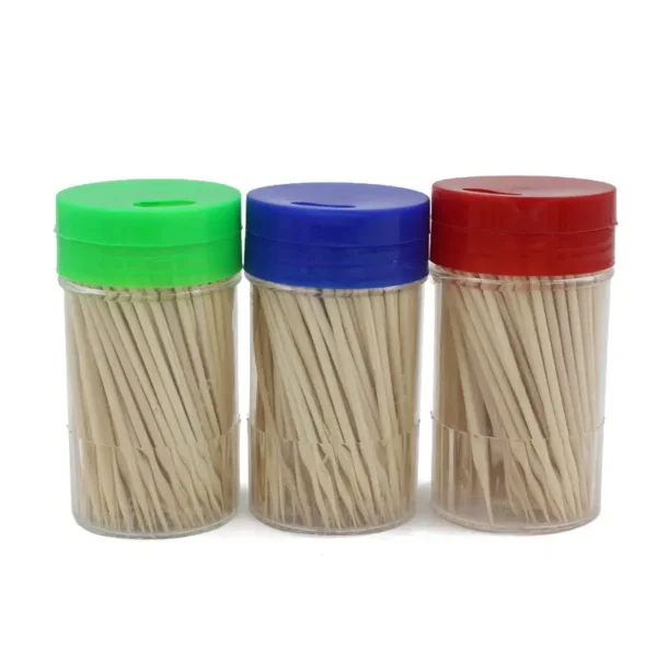 Bamboo Toothpicks 600pcs (5)