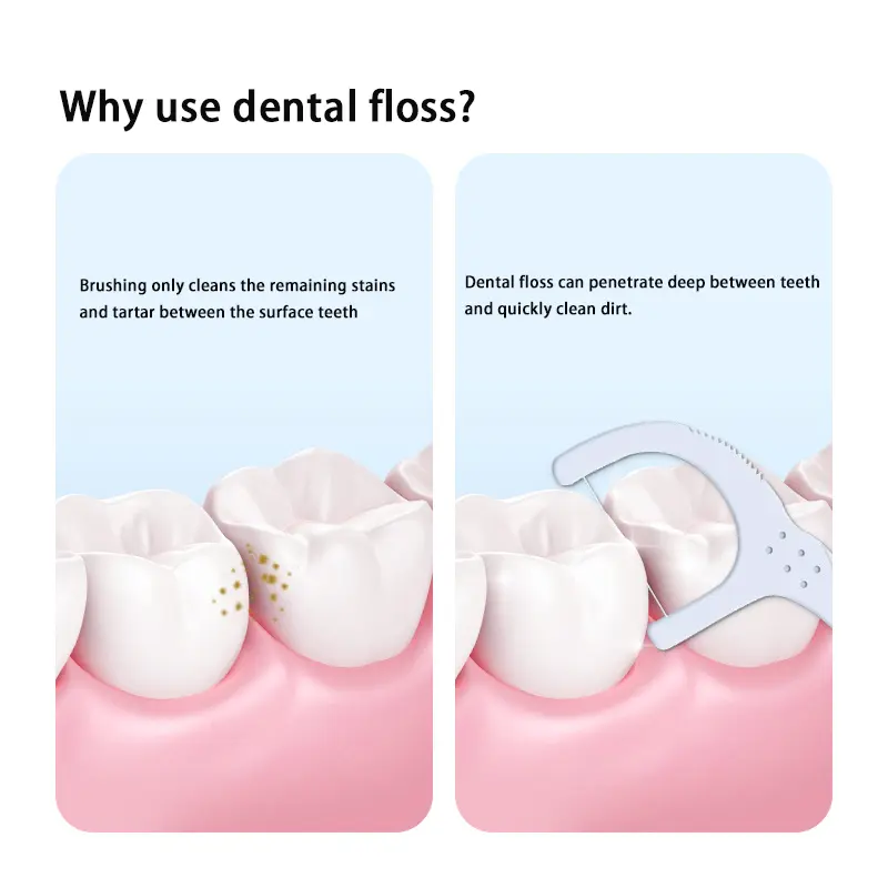 Dental Flossers（5）