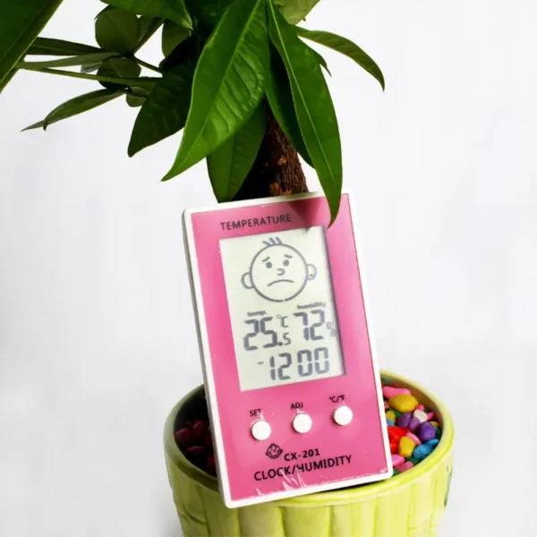 Digital Thermometer Hygrometer Clock (2)