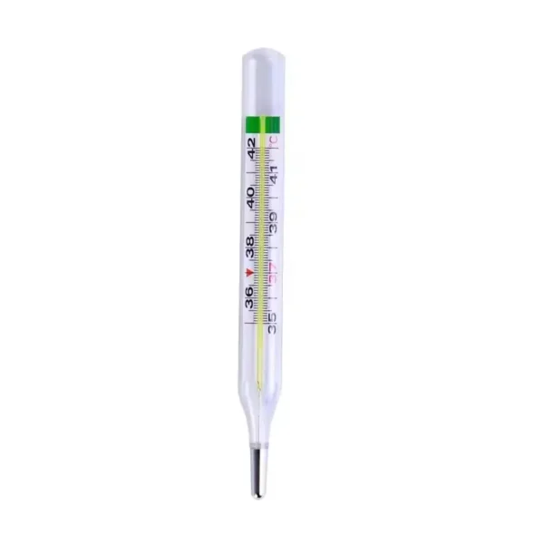 Glass Thermometer Mercury Free L (3)