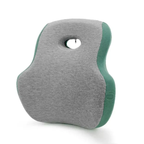 Lumbar Support Pillow (1)