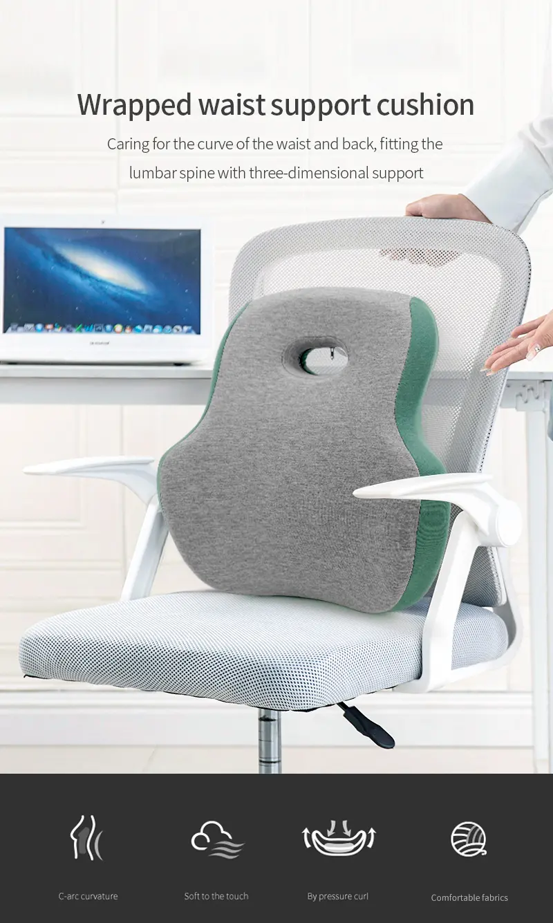 Lumbar Support Pillow (1)