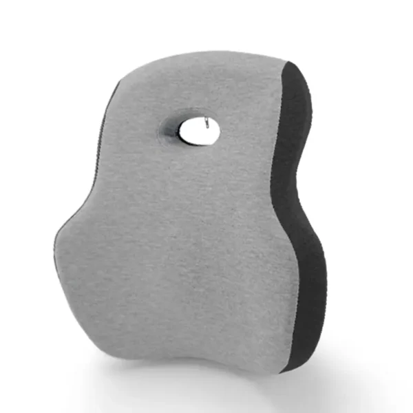 Lumbar Support Pillow (2)