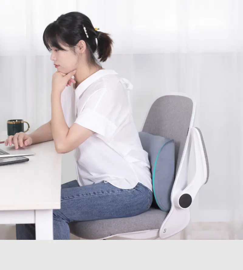 Lumbar Support Pillow (4.3)