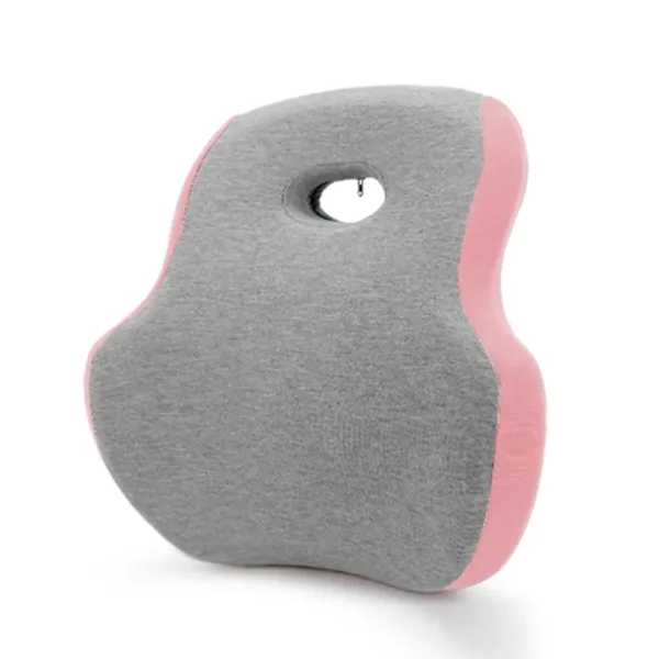 Lumbar Support Pillow (5)