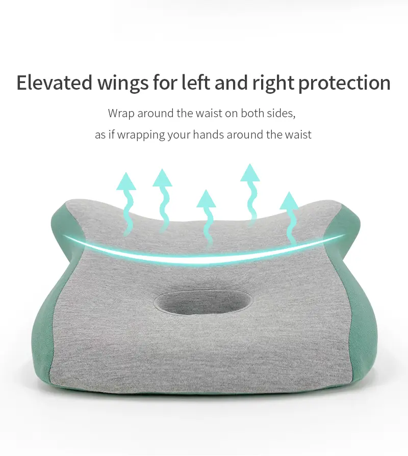 Lumbar Support Pillow (5)