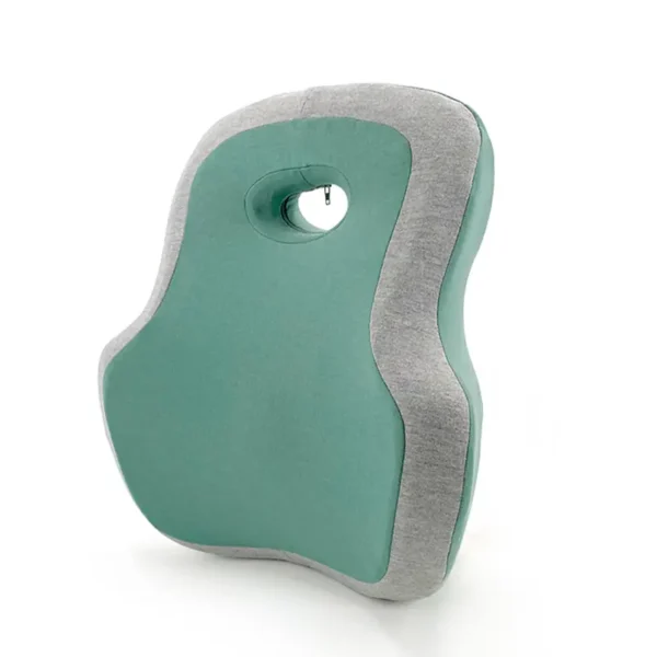 Lumbar Support Pillow (6)