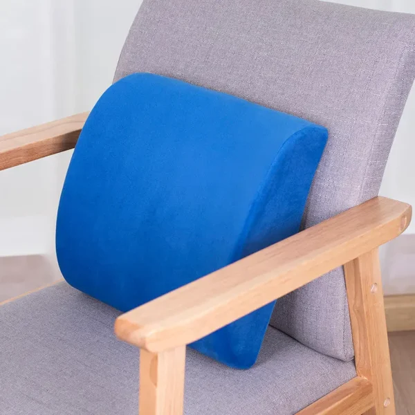 Lumbar Support Pillow (6)