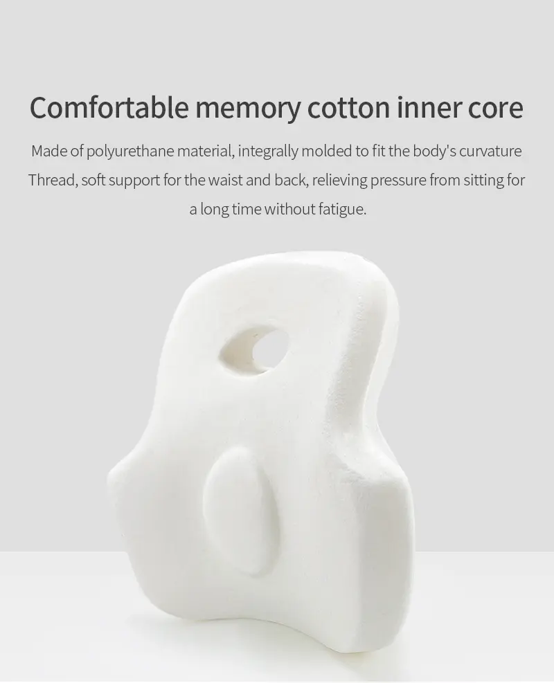 Lumbar Support Pillow (7)