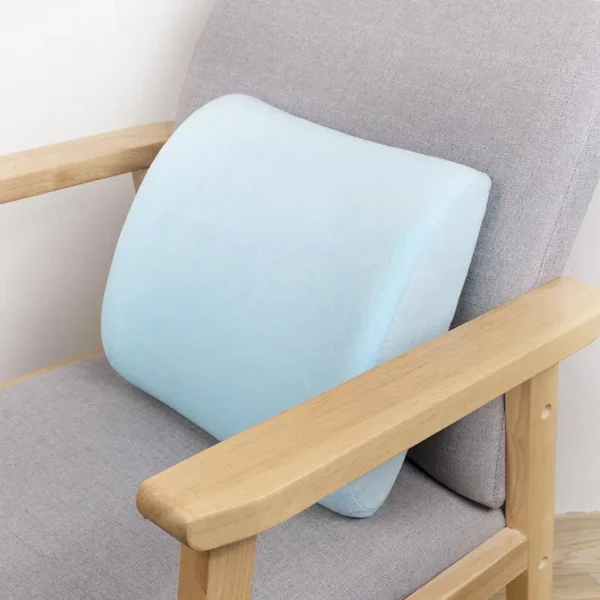 Lumbar Support Pillow (7)