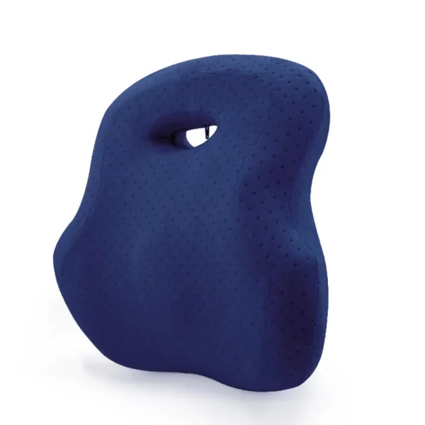 Lumbar Support Pillow (8)