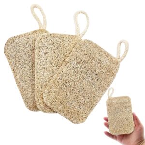 Natural Loofah Sponge (0)