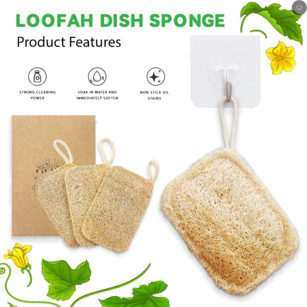 Natural Loofah Sponge (1)