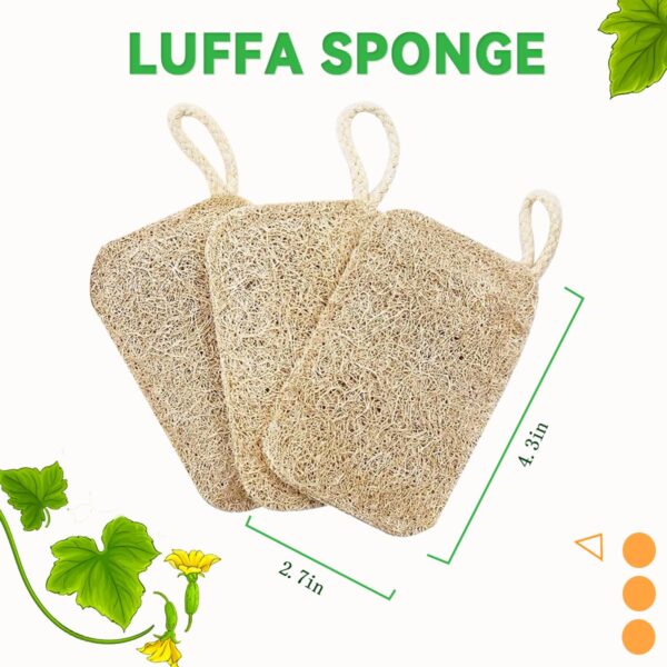 Natural Loofah Sponge (2)