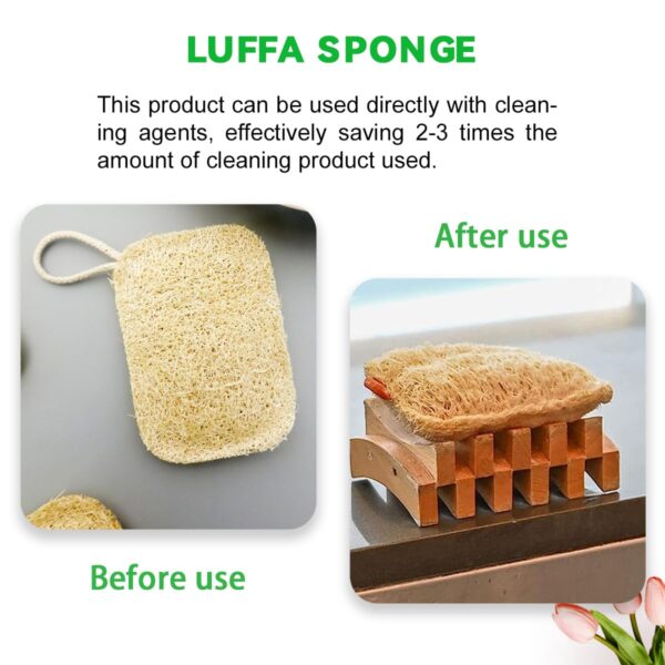 Natural Loofah Sponge (3)