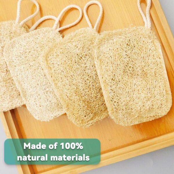 Natural Loofah Sponge (4)