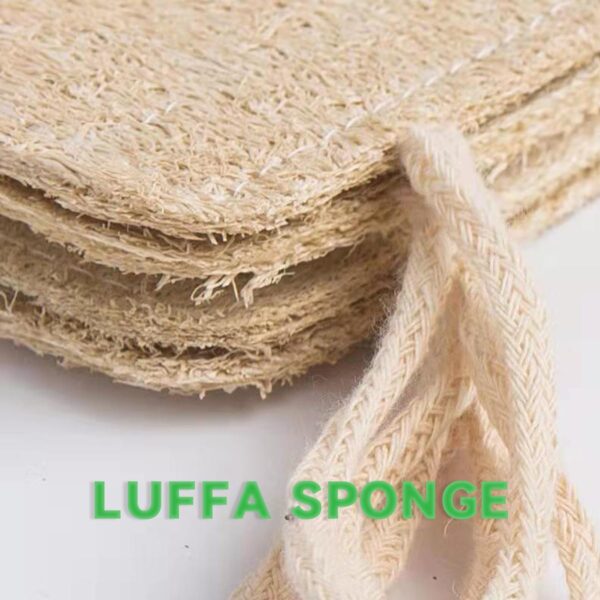 Natural Loofah Sponge (6)