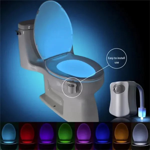 Toilet Night Light (3)