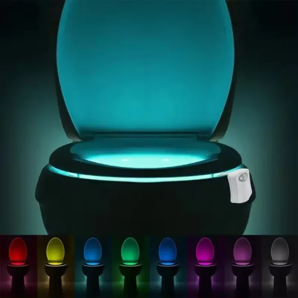 Toilet Night Light (9)