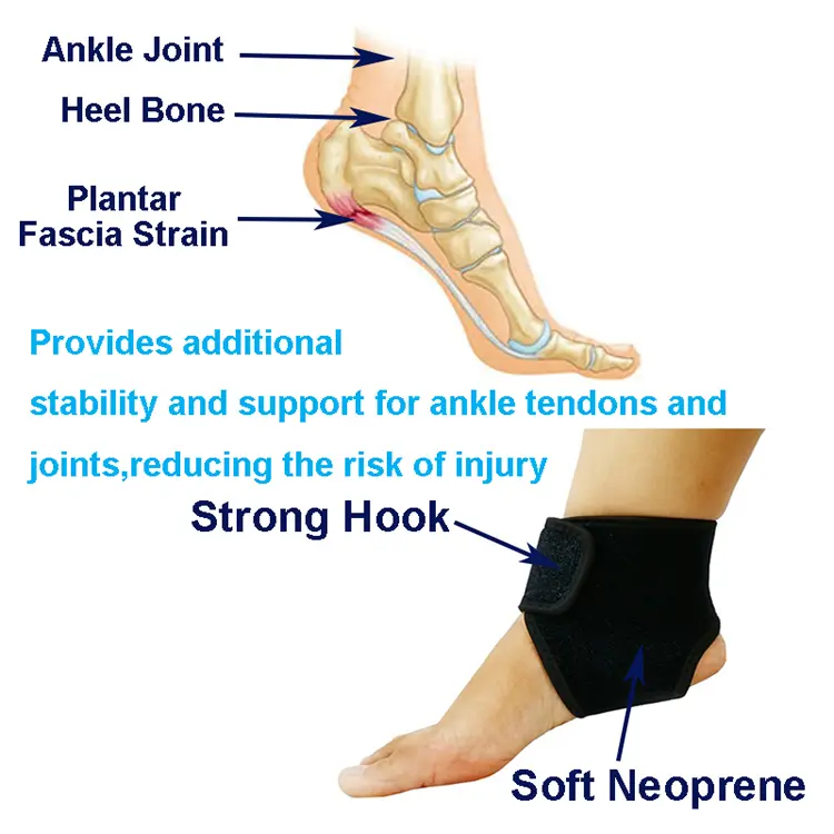 ANKLE SUPPORT (3)