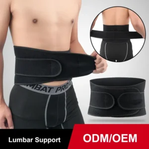 Lumbar Support (1)