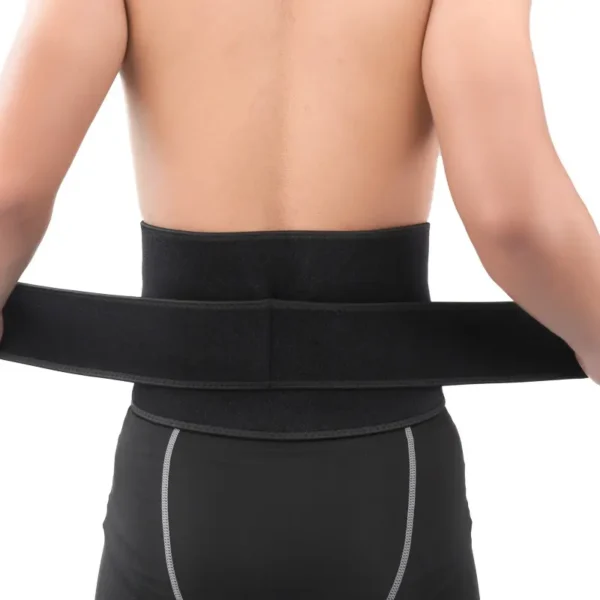 Lumbar Support (2)