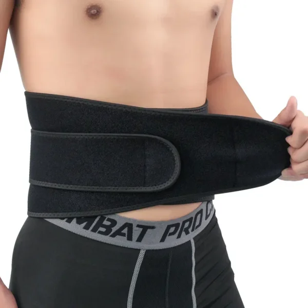 Lumbar Support (4)