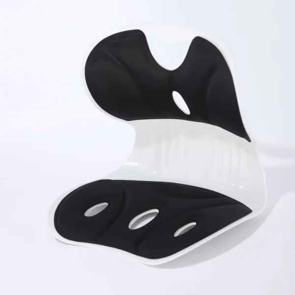 Ergonomic Lumbar Support Seat (3)