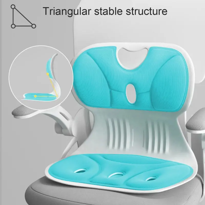 Ergonomic Lumbar Support Seat (4)