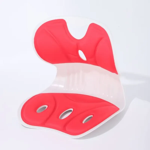 Ergonomic Lumbar Support Seat (5)