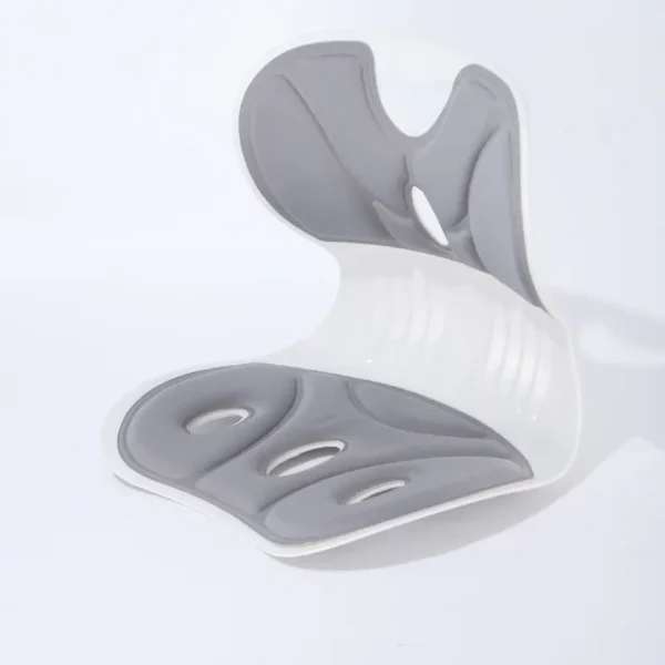 Ergonomic Lumbar Support Seat (7)