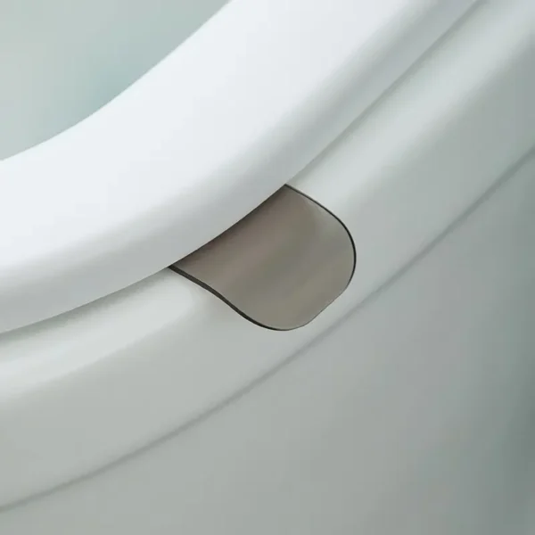 Toilet Seat Handle (3)