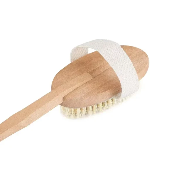 Body Brush Back Scrubber with Detachable Long Handle (5)