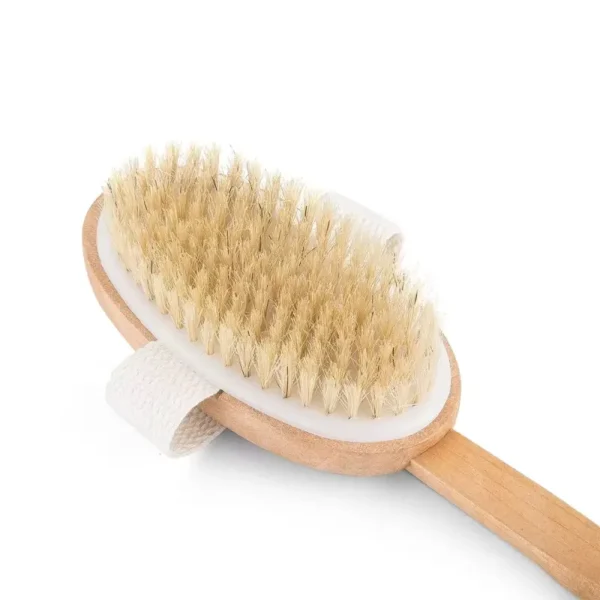 Body Brush Back Scrubber with Detachable Long Handle (6)