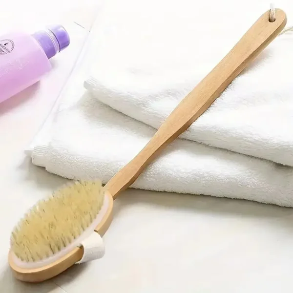 Body Brush Back Scrubber with Detachable Long Handle (9)