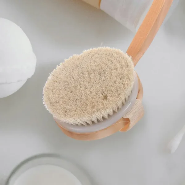 Dry Brushing Body Shower Brush (2)