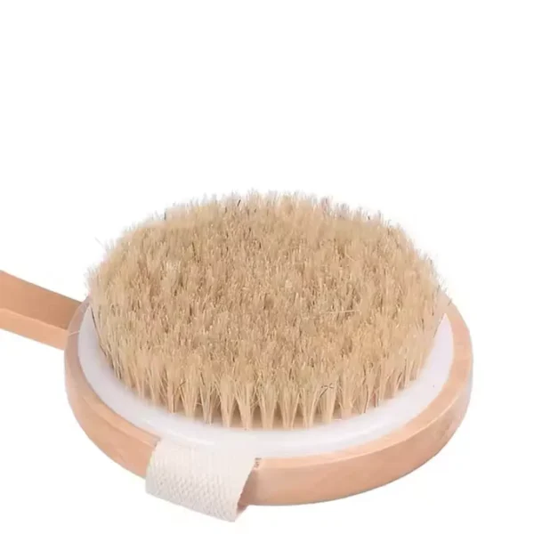 Dry Brushing Body Shower Brush (5)