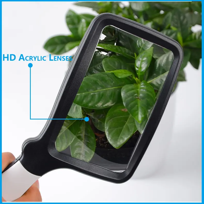 Folding Handheld Magnifying Glass (4)