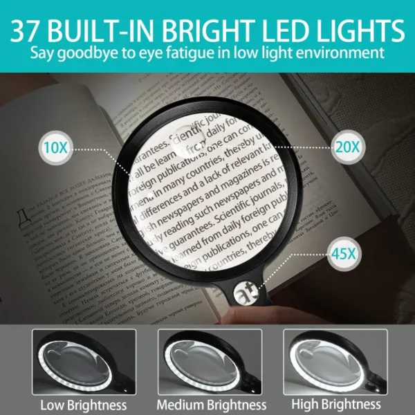 Large Handheld Magnifier (11)
