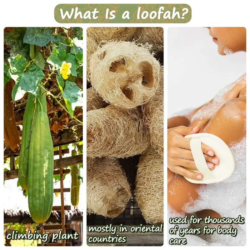 Natural Loofah Bath Sponge (2)