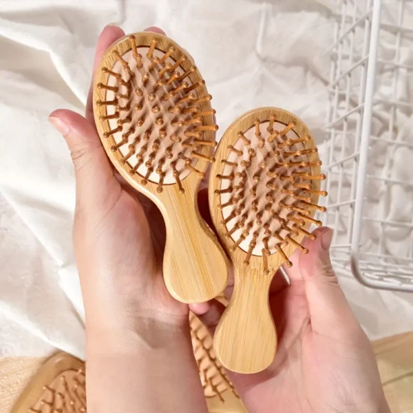 Portable Air Cushion Brush (1)