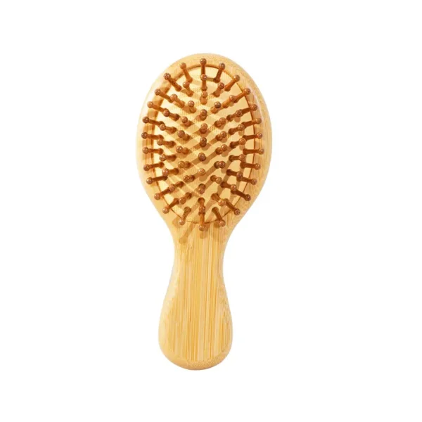 Portable Air Cushion Brush (4)