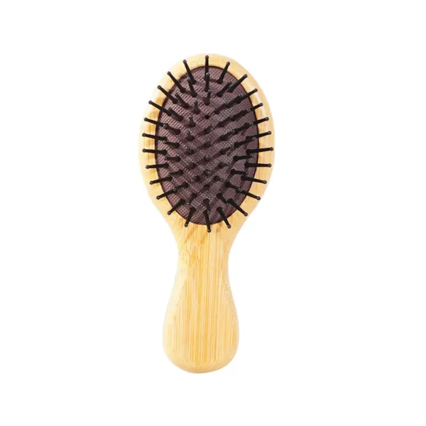 Portable Air Cushion Brush (5)