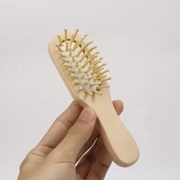 Portable Air Cushion Brush (6)