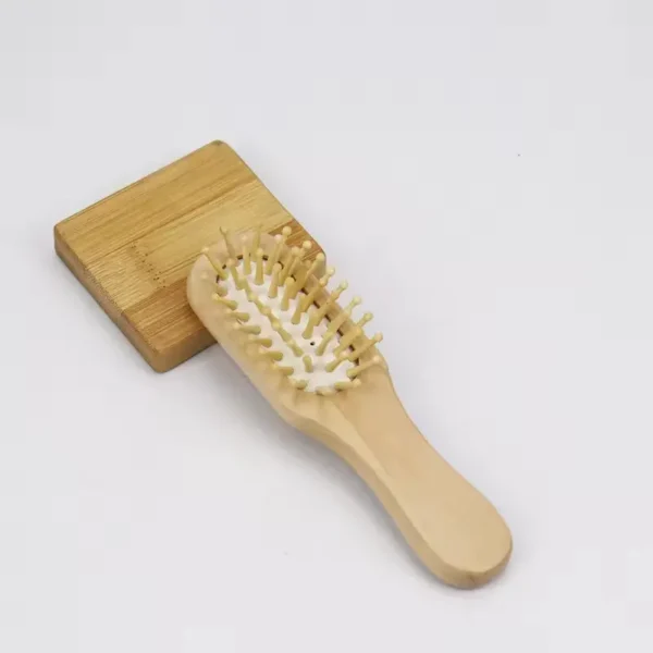 Portable Air Cushion Brush (7)