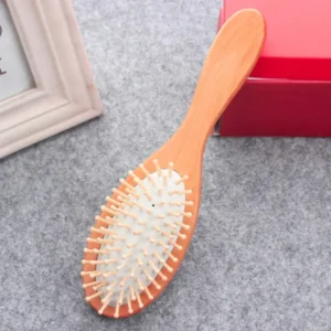 Wooden Bristle Brush Oval(10)