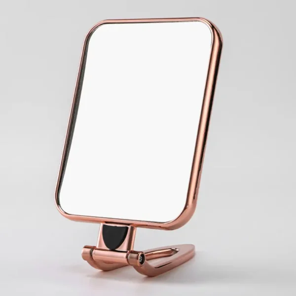 2 in 1 Handy Make Up Mirror（5）